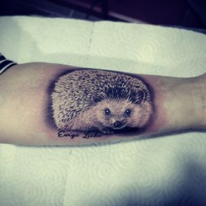  #hedgehog #hedgehogtattoo #germany #germanytattoo #Tattoodo 