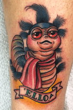 Worm from labyrinth on ankle 