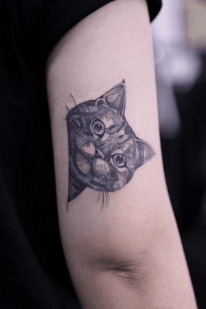 Tattoo by me #cat #cattattoo #tattoo #tattoos #tattooartist #taiwan 
