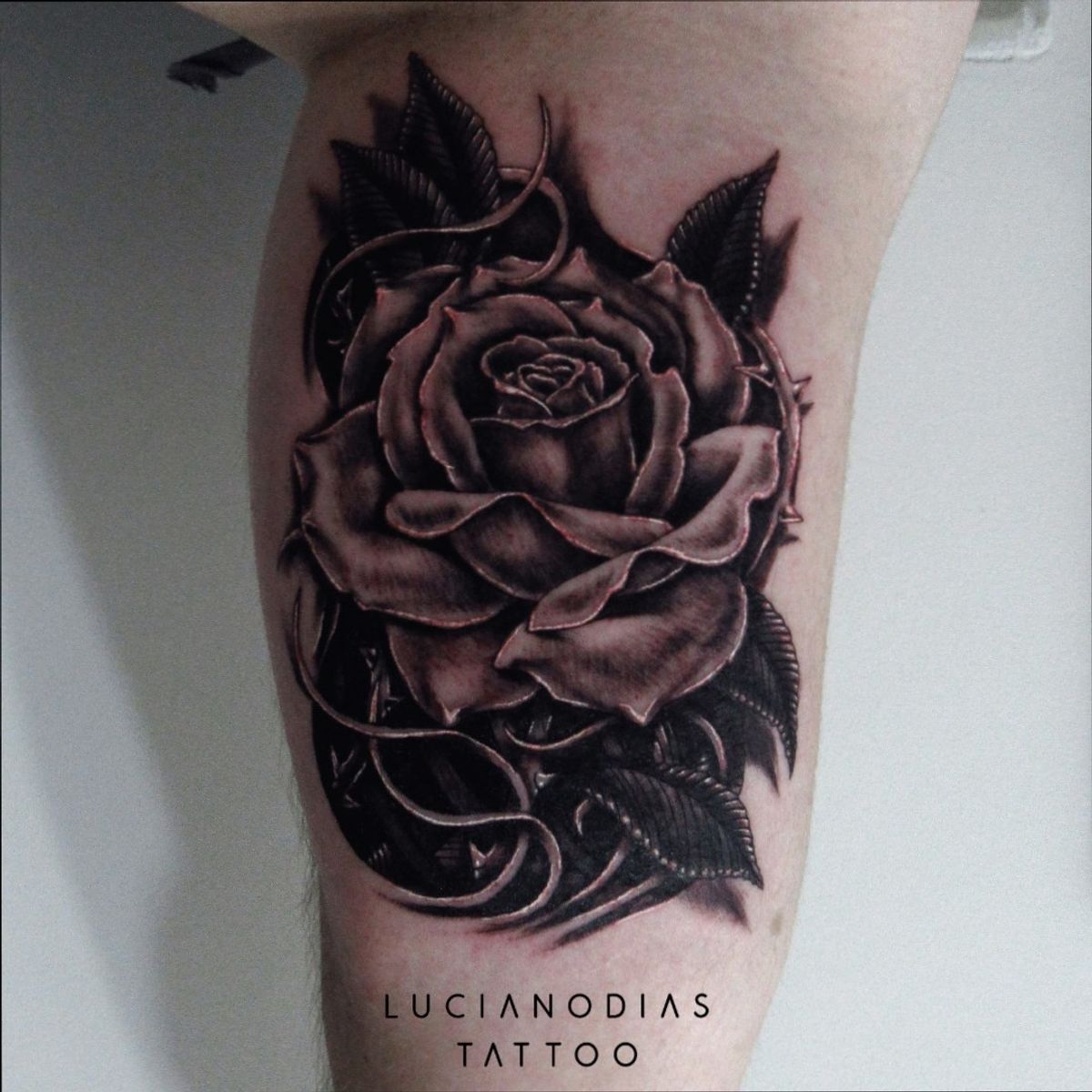 Tattoo uploaded by Luciano Dias • Califórnia, Brasil • Tattoodo