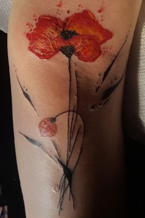 These poppy flowers  on my arms remind me of how far I've come. By Justin Pitt in NY