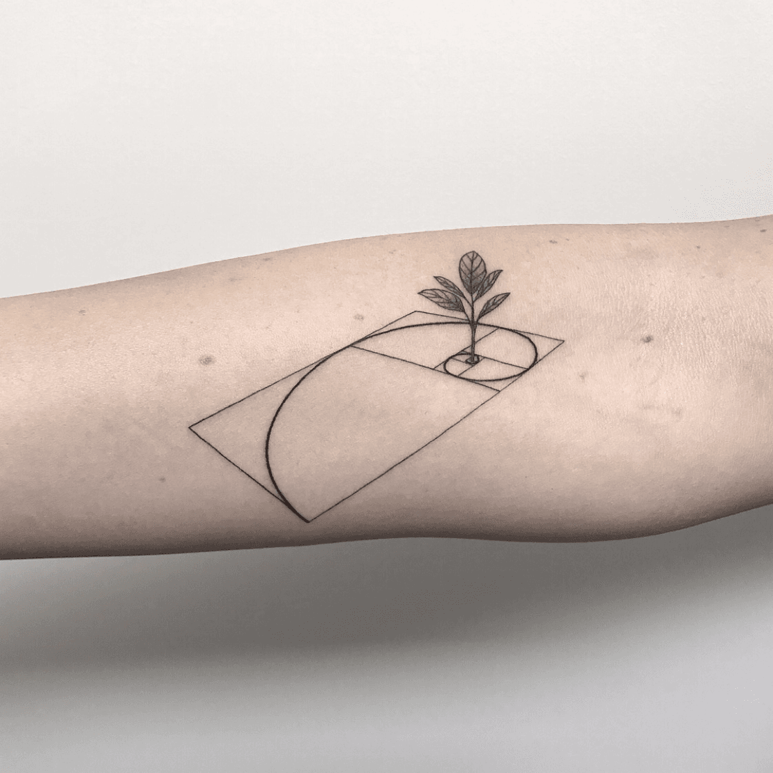 Fibonacci series  Golden ratio Tattoo  was represented for the most  attractive proportion of everything present in the  Instagram