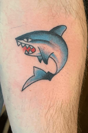 Shark traditonal style