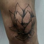 Fine line tattoo flor de lotus, joelho.
