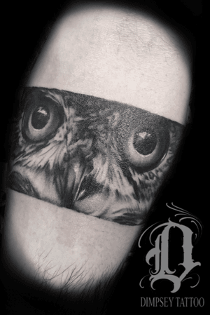 Owl from last week - 3 hour session 