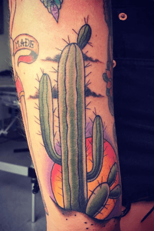 Cactus #cactus #mexican #color #colorful #passion 