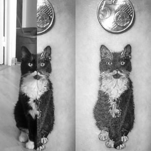 Single needle 6cm #microtattoo #singleneedle #realism #realistictattoo #cat #jumanji #blackandgrey #blackandgreytattoo #intenzetattooink #fkirons #fadetheitch #stencilstuff #inkeeze #ink #inkedgirl #inkedlife #inkedmag #tattoo #tattooist #tattooartist #artist #artwork #tattoooftheday #picoftheday #photooftheday #France #thomtats7 @thomtats7 