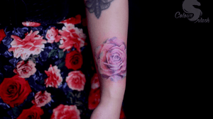 Gentle one 🌹 #art #tattoo #rosetattoo #mbyn #coloursplashtattoo 