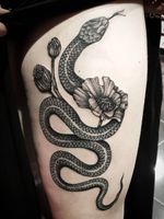  #blackworktattoo #snake #poppy #tattoo #berlintattoo #tätowierung 