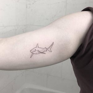 Only a tattoo of a wonderful shark. ❤️
