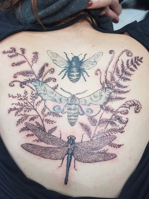#finelinetattoo #fineline #illustrative #bee #moth #dragonfly #botanical 