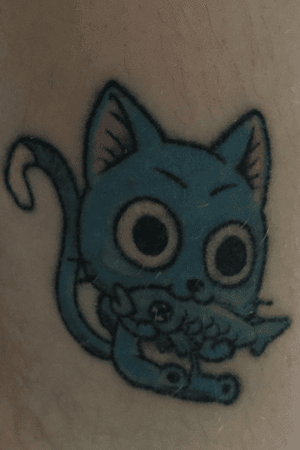 Happy from fairy tail. Got this on my right leg close to my knee.