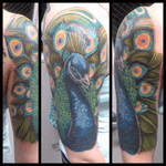 Peacock (Frrehand Cover-Up)