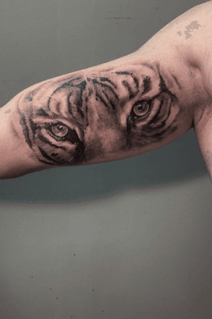 #tiger #tattoo #tigereyes #animal #tattootiger #blackandgrey #nature 
