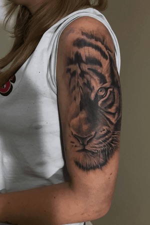 Custom tiger 