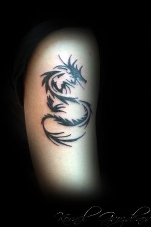 Done in 2014 / 2015.. #dragon #dragontattoo #tribal #blackwork #blacktattoo #finishtattoo #tattoo #design #done #finish #linetattoo #tattooart #tattoolifestyle #tattoolife #tattoodesign #tattoo #ink #art #tattooartist #inked #tattooflash #tattooideas #artwork #artist #follow