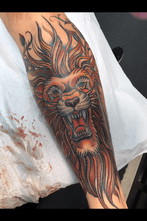 #americantraditional #traditionaltattoos #liontattoo #traditionallion 