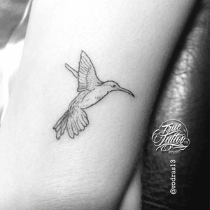 Hummingbird #tattoo #ink #inked #tattooed #tatuaje #tattooart #tattooartists #tattooworkers #black #truetattoodesignstudio #truetattoostudio #tatuadoresmexicanos #rodras13 #tattooapprentice #tattooing #tattooer #blackwork #linework 