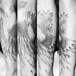 #tattoo #tatouage #phoenix #blackink #darkart #graphictattoo #sketchstyle #blacktattoo 
