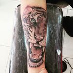 Tiger face! 1 session #tiger #tigertattoo #tigerhead #TigerHeadTattoo #realistic #realism #realistictattoo #blackandgray #tattooartist #besttattooartists #ink #inked #intenze #worldfamousink #fkirons #spektraxion #eternalink #tigre #tattoo #tatuaje 