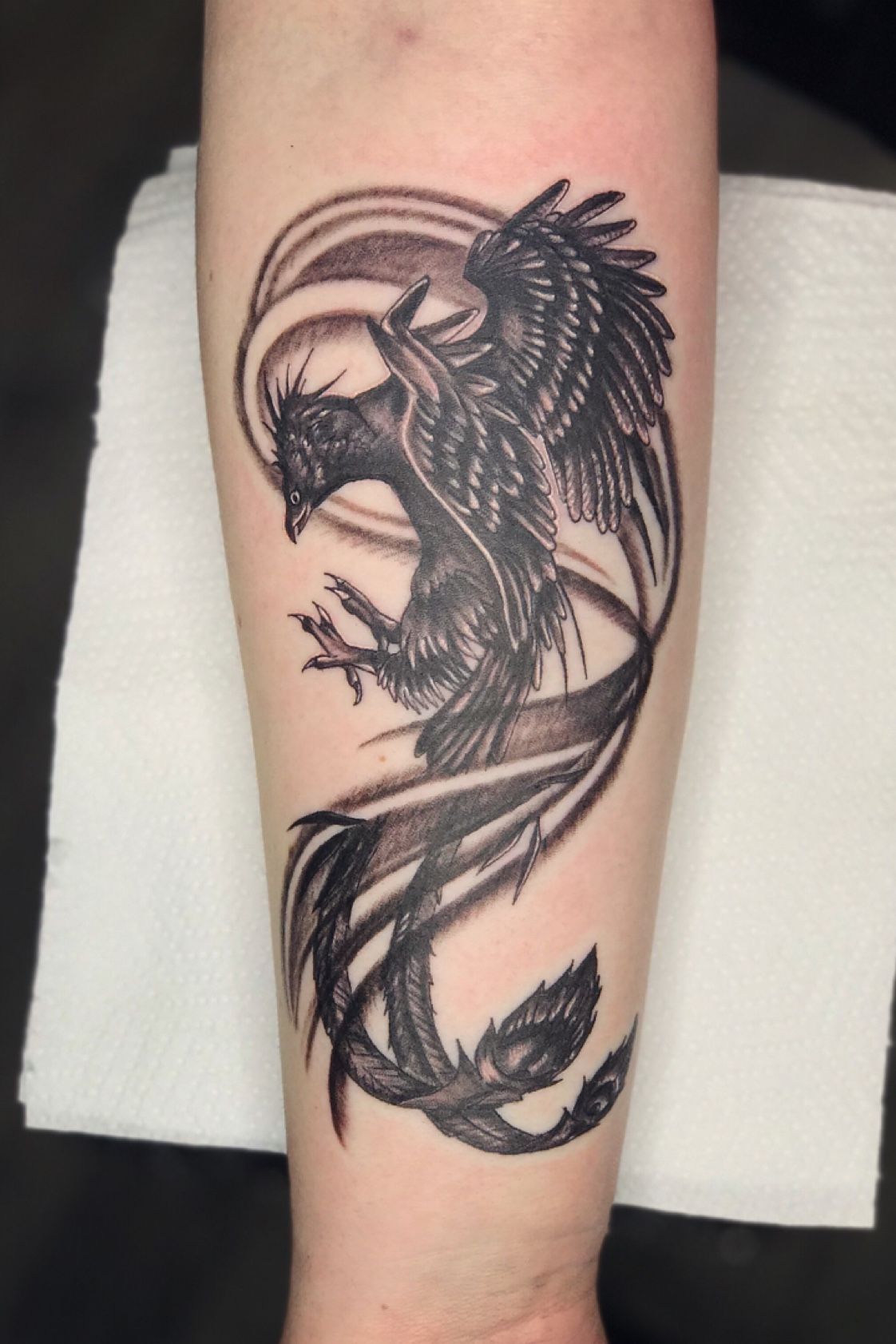 Тату феникс на предплечье мужские. Феникс тату. Птица феникс тату. Тату феникс предплечье. Тату феникс на предплечье.