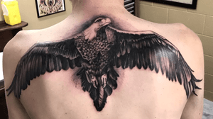One of my favourite tattoos ive done this year #eagle #realism #Black #blackandgrey #Australia #backpiece #tattooartist 