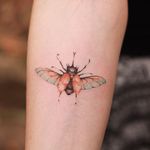 Tattoo by Marcus Vinícius Valejo #MarcusViniciusValejo #besttattoos #besttattoo #best #favorite #beetle #bug #wings #nature #insect
