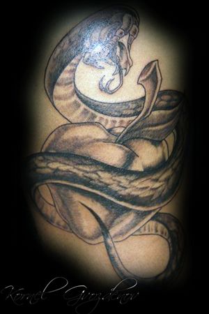 Done in 2014 / 2015.. #snake #apple #shareing #blackwork #blacktattoo #finishtattoo #tattoo #design #done #finish #linetattoo #tattooart #tattoolifestyle #tattoolife #tattoodesign #tattoo #ink #art #tattooartist #inked #tattooflash #tattooideas #artwork #artist #follow