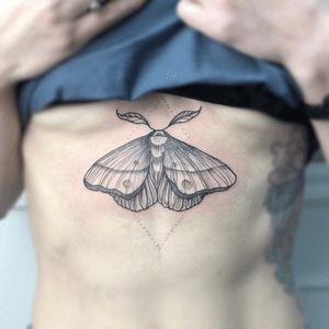 Moth 🦋