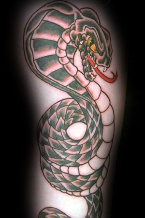 Done in 2014 / 2015.. #snake #shareing #blackwork #blacktattoo #finishtattoo #tattoo #design #done #finish #linetattoo #tattooart #tattoolifestyle #tattoolife #tattoodesign #tattoo #ink #art #tattooartist #inked #tattooflash #tattooideas #artwork #artist #follow