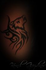 Done in 2014 / 2015.. #wulf #tribal #blackwork #blacktattoo #finishtattoo #tattoo #design #done #finish #linetattoo #tattooart #tattoolifestyle #tattoolife #tattoodesign #tattoo #ink #art #tattooartist #inked #tattooflash #tattooideas #artwork #artist #follow