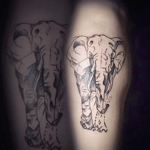 #ink#tattoo#blackink#tats#inked#elephanttattoo#elephant🐘#lines#tattoowork