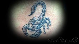 Done in 2014 / 2015.. #scorpion #shareing #blackwork #blacktattoo #finishtattoo #tattoo #design #done #finish #linetattoo #tattooart #tattoolifestyle #tattoolife #tattoodesign #tattoo #ink #art #tattooartist #inked #tattooflash #tattooideas #artwork #artist #follow