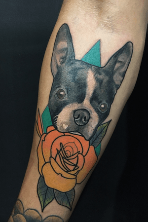 Perro, Boston terrier tattoo neotracional