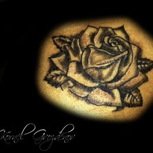 Done in 2014 / 2015.. #rose #shadeing #blackwork #blacktattoo #finishtattoo #tattoo #design #done #finish #linetattoo #tattooart #tattoolifestyle #tattoolife #tattoodesign #tattoo #ink #art #tattooartist #inked #tattooflash #tattooideas #artwork #artist #follow