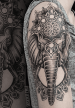 Ornamental dotwork elefant tattoo #ornamentaltattoo #ornamental #elefant #dotwork 