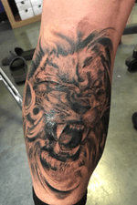 black and grey Realistic Lion