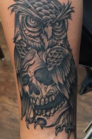 Black and Grey Skull Owl