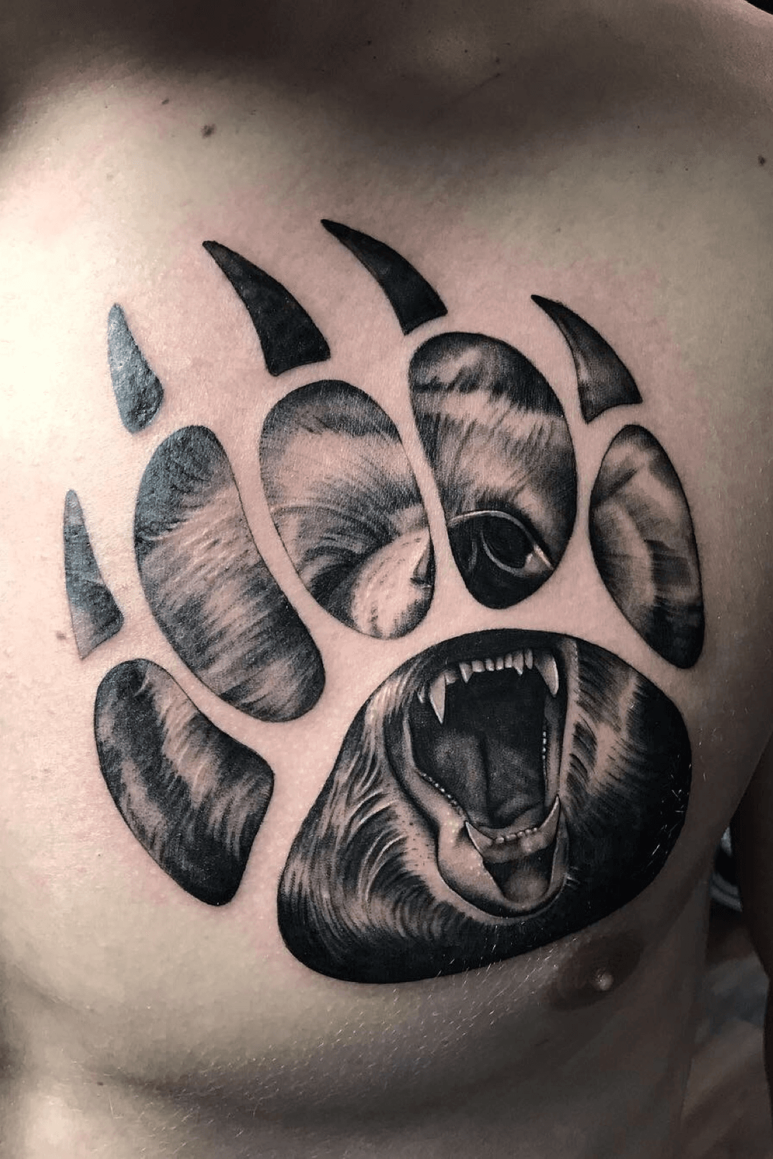 100 Bear Claw Tattoo Designs For Men  Sharp Ink Ideas  Bear claw tattoo Claw  tattoo Cool chest tattoos