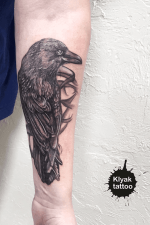 black Raven!