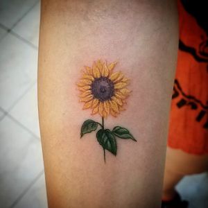 Lil sunflower #sunflowertattoo #sunflower #tattooartist #tattooart #tattoo #ink #inked #tattooartistmagazine #tattooaddict #colortattoo #girlswithtattoos #inkedgirl #flowertattoo #cutetattoos 