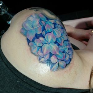 Hydrangeas on my lovely client Jess whilst guest spotting in Newcastle @tribalurgetattoo 