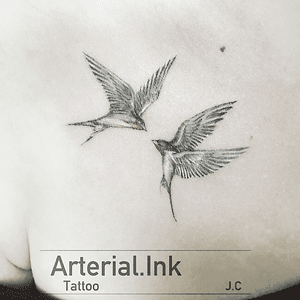 -#swallows#swallow#lineart#fineart#birds#bird#animal#wildlife#artwork#sketch#art#paint#graphic#doodle#tattoo#graffiti#owltattoo#drawing#tattoos#tattooartist#inktober#instagood#ink#刺青#台湾#鳥#台灣#燕
