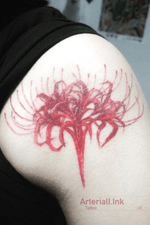 已復原彼岸花#Inktober#artwork#sketch#art#paint#graphic#doodle#draft#instaphoto#tattoo#beautiful#bw#drawing#tattoos#flower#girl#tattooartist#inktober#instagood#ink#inktober#girltattoo#tattooist#artist#fineart#台灣#ヒガンバナ#刺青