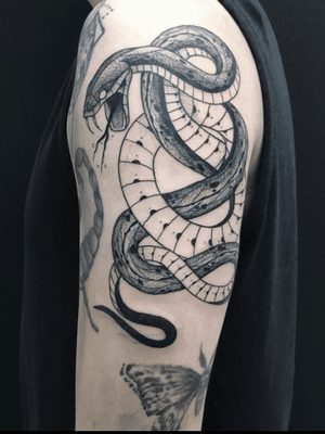 🐍 #snake #Black #fangs #serpent #reptile 