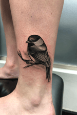 Really fun chicadee from the other day thanks fpr checkin it out  #chickadee #birdtattoo #denvertattooartist #coloradotattoos #coloradotattooartist #birds 