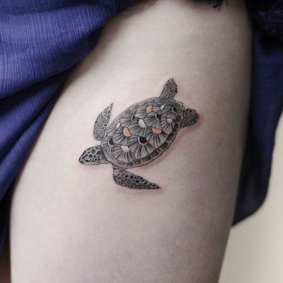 Explore the 3 Best Turtle Tattoo Ideas (December 2018) • Tattoodo