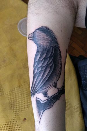 Raven, made by @cardozotattoosx
