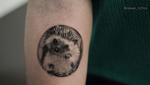Miniature tattoo of hedgehog by tattoo artist Alexei Mikhailov#tattoohedgehog #miniaturetattoo #tattoorealism