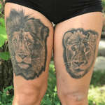 Lions done by ambergram_chicago on ig!! #lion #lioness #animal #animalportrait #lions #liontattoo #lionportrait 